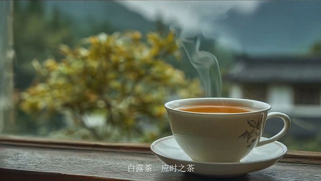 AI品牌-白露茶